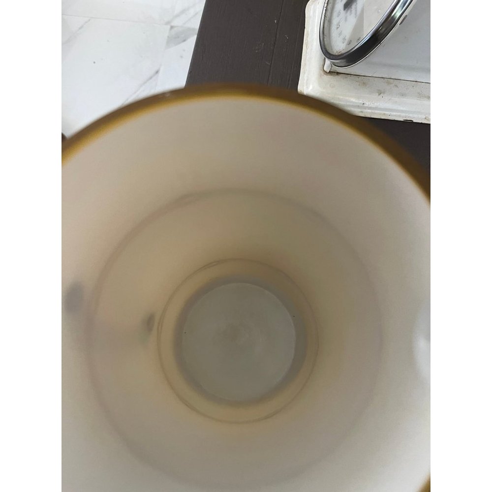 Pitcher - Picture 5 of 6